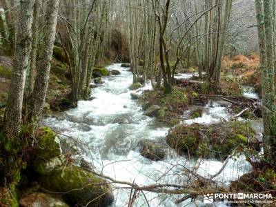 Valle del Ambroz-Sierra de Bejar - Gredos; excursiones de senderismo;viajes y excursiones;actividade